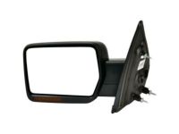 OEM Ford F-150 Mirror Outside - 9L3Z-17683-DBPTM