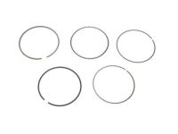 OEM 2016 Ford Expedition Piston Rings - BL3Z-6148-C