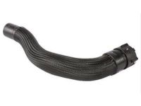 OEM 2017 Ford Flex Lower Hose - AA5Z-8286-D