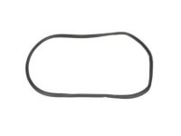 OEM Ford Explorer Weatherstrip - BB5Z-78404A06-C