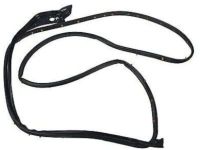 OEM 2012 Ford Explorer Door Weatherstrip - BB5Z-7820530-A