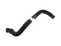 OEM Ford F-150 Upper Hose - CL3Z-8260-A