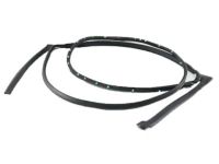 OEM 2017 Ford Flex Door Weatherstrip - AA8Z-7425324-B