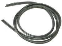 OEM Ford E-250 Weatherstrip - 2C2Z-1520709-AA