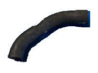 OEM 1993 Ford F-350 Lower Hose - F1TZ-8286-E