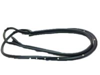 OEM 2007 Ford Five Hundred Door Weatherstrip - 8G1Z-5420530-A