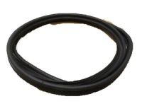 OEM Lincoln Weatherstrip - AE5Z-5443720-A