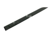 OEM 2005 Ford Focus Body Side Molding - 5S4Z-5425532-AAPTM