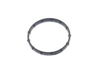 OEM 2021 Ford F-150 Connector Tube Seal - HL3Z-8590-A