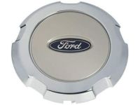 OEM Ford F-150 Center Cap - 4L3Z-1130-DD