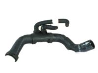 OEM 2011 Ford F-150 Lower Hose - BL3Z-8286-C