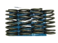 OEM Lincoln Valve Springs - F1AZ-6513-A