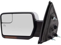 OEM 2011 Ford F-150 Mirror - BL3Z-17683-EA