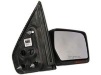 OEM 2011 Ford F-150 Mirror - BL3Z-17682-FAPTM