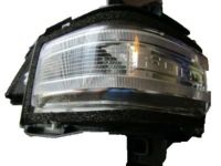 OEM 2020 Ford F-250 Super Duty Signal Lamp - HC3Z-13B374-A