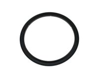 OEM Ford F-250 Super Duty Rear Seal - F65Z-6310-A