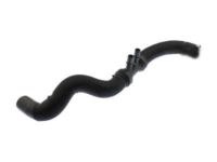 OEM 2016 Ford F-150 Upper Hose - HL3Z-8260-C