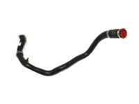 OEM 2016 Lincoln Navigator Lower Hose - BL3Z-6C646-A