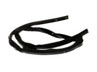 OEM 2006 Ford Explorer Lower Seal Strip - 8L2Z-78253A45-A