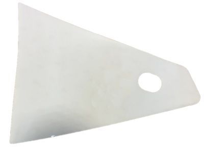 GM 25808941 Protector