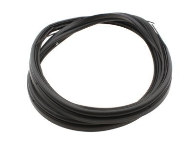 GM 22923286 Weatherstrip