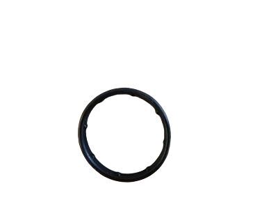 GM 55556547 Seal, Engine Oil Cooler Pipe (O Ring)