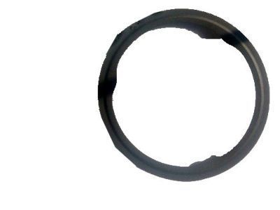 GM 55570704 Converter & Pipe Seal