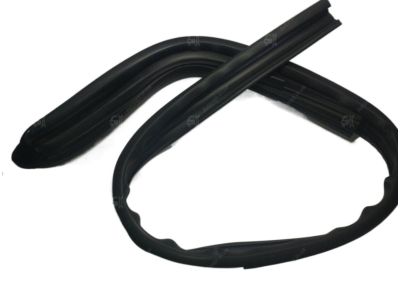 GM 95980733 Surround Weatherstrip