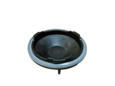 GM 89025061 Socket Cover