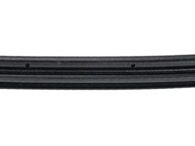 GM 15244250 Weatherstrip On Body