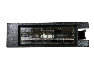 OEM GM 13251936 - License Lamp