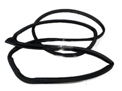 GM 95158823 Door Weatherstrip