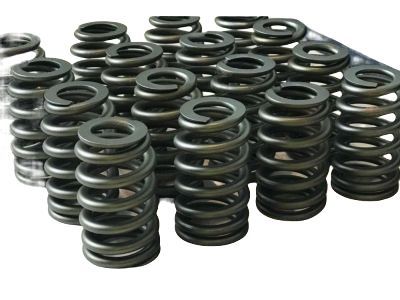 GM 12589774 Valve Springs