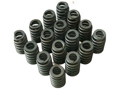 GM 12589774 Valve Springs