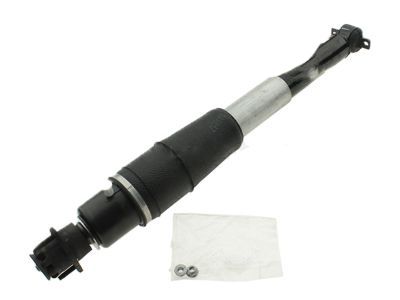 GM 19300025 Shock Absorber