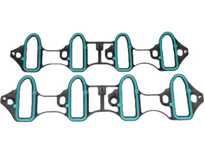 GM 89060413 Intake Manifold Gasket Set