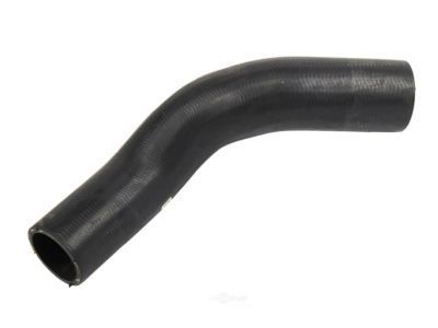 GM 25668020 Lower Hose