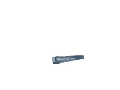 GM 10280978 Rear Lateral Arm Bolt