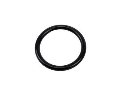 GM 55353331 Outlet Pipe Seal