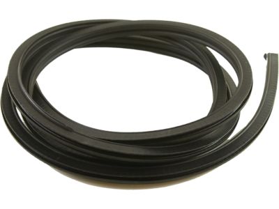 GM 15100040 Weatherstrip