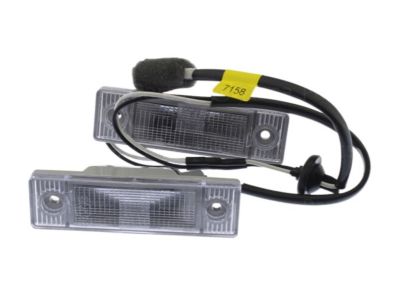 GM 95387158 License Lamp