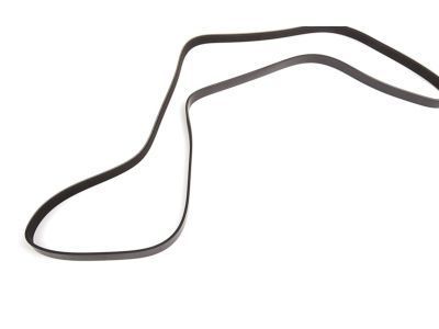 GM 12653318 Serpentine Belt