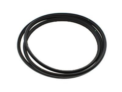 GM 22815954 Glass Weatherstrip