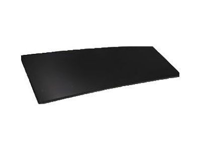 GM 15839678 Trim Panel