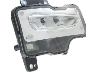 GM 23381984 Fog Lamp Assembly