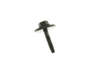 GM 11570498 Filler Bolt