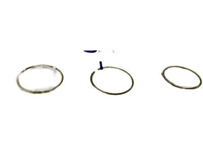 GM 55588455 Piston Rings