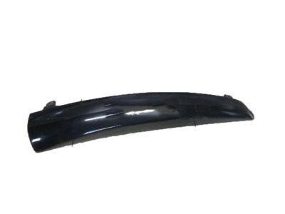 GM 15895308 Side Molding