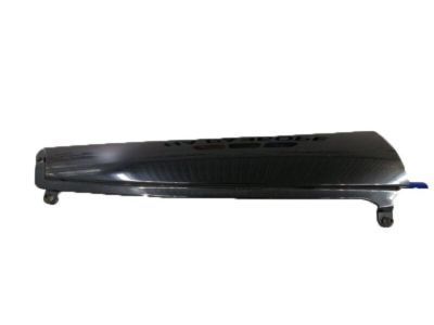 GM 15895308 Side Molding