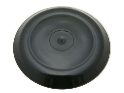 GM 90120285 Scoop Plug